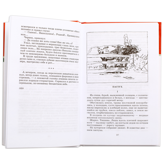 Детская книга "ШБ Шолохов.Донские рассказы,Судьба человека" - 475 руб. Серия: 9 класс, Артикул: 5200164
