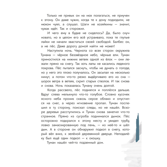 Детская книга "Туисова. Пес Туман и лучший Новый год" - 550 руб. Серия: Время сказок, Артикул: 5400471