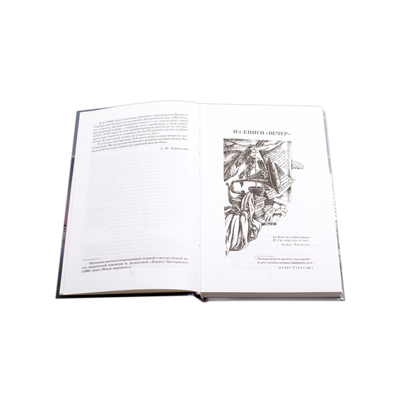 Детская книга "ШБ Ахматова. Стихотворения и поэмы" - 580 руб. Серия: 11 класс, Артикул: 5200093