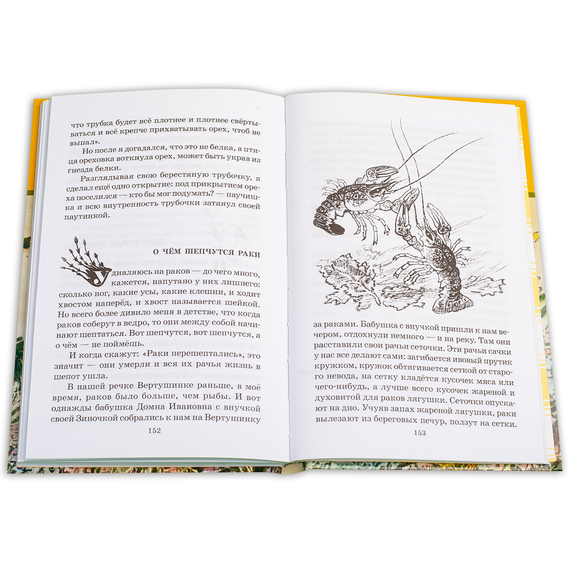 Детская книга "ШБ Пришвин. Кладовая солнца" - 385 руб. Серия: Школьная библиотека, Артикул: 5200180