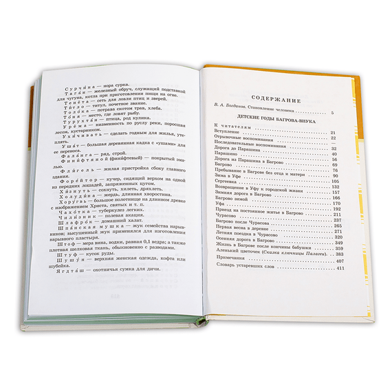 Детская книга "ШБ Аксаков. Детские годы Багрова-внука" - 460 руб. Серия: Школьная библиотека, Артикул: 5200005