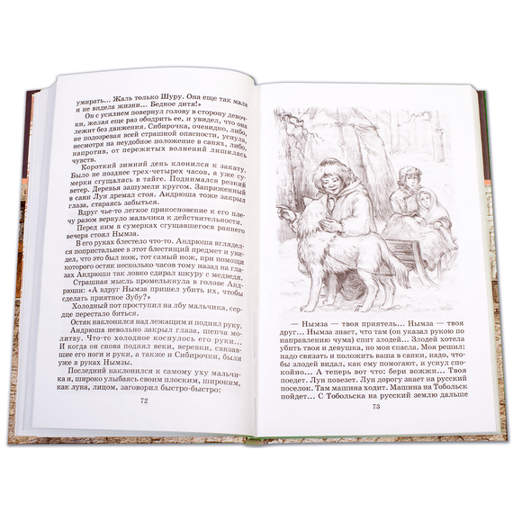 Детская книга "ШБ Чарская. Сибирочка" - 390 руб. Серия: Школьная библиотека, Артикул: 5200198