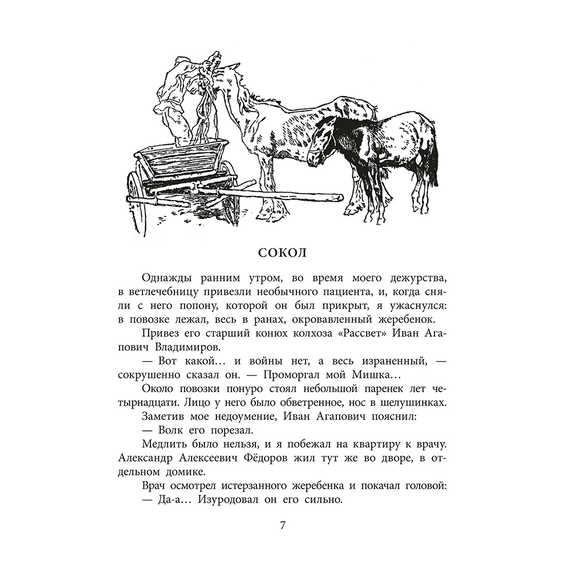 Детская книга "ВД Великанов. Пират, ищи!" - 340 руб. Серия: Военное детство , Артикул: 5800830
