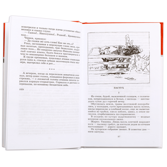Детская книга "ШБ Шолохов.Донские рассказы,Судьба человека" - 500 руб. Серия: 9 класс, Артикул: 5200164