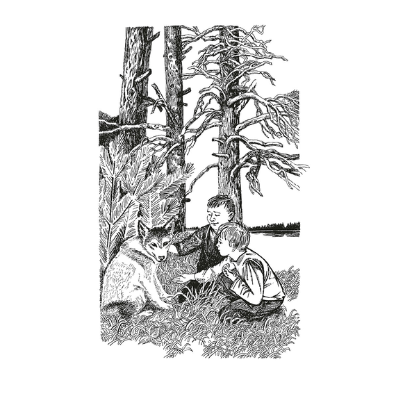 Детская книга "ШБ Астафьев. Царь-рыба (худ. Мурышева)" - 680 руб. Серия: Школьная библиотека, Артикул: 5200397