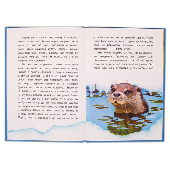 Детская книга "КзК Чаплина. Ная - выдрёнок (тверд переплет)" - 276 руб. Серия: Книга за книгой , Артикул: 5400508