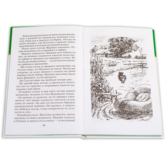 Детская книга "ШБ Паустовский. Заячьи лапы" - 360 руб. Серия: 5 класс, Артикул: 5200174