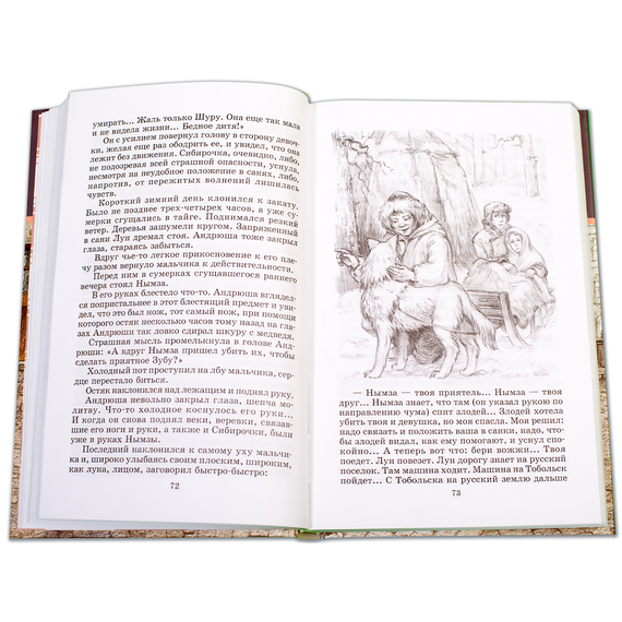 Детская книга "ШБ Чарская. Сибирочка" - 390 руб. Серия: Школьная библиотека, Артикул: 5200198