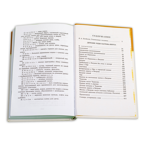Детская книга "ШБ Аксаков. Детские годы Багрова-внука" - 460 руб. Серия: Школьная библиотека, Артикул: 5200005