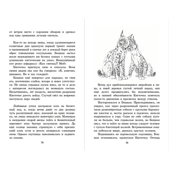 Детская книга "ШБ Зиганшин. Таежными тропами" - 720 руб. Серия: Школьная библиотека, Артикул: 5200384