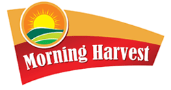 MORNING HARVEST - Bulkbox Wholesale