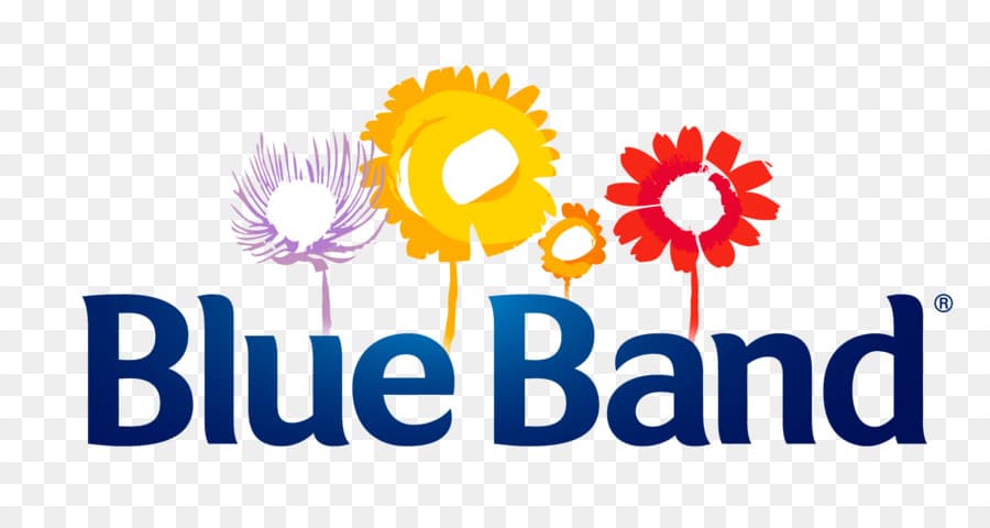 BLUE BAND - Bulkbox Wholesale