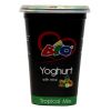 BIO YOGHURT TROPICAL MIX 450ML - Bulkbox Wholesale