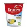 DELAMERE PREMIUM PINEAPPLE & COCONUT FRUIT YOGHURT CUP  250G - Bulkbox Wholesale