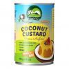 NATURE'S CHARM COCONUT CUSTARD 400G - Bulkbox Wholesale