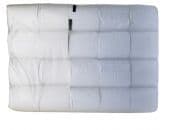 CELINE PROFESSIONAL ECO JUMBO ROLLS TOILET TISSUE 200M - Bulkbox Wholesale