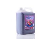 VIVIA HANDWASH BERRY BURST 5L - Bulkbox Wholesale