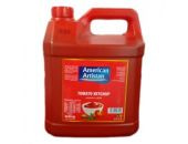 AMERICAN ARTISTAN TOMATO KETCHUP 5KG - Bulkbox Wholesale