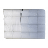 CELINE PROFESSIONAL ECO ROLLS TOILET TISSUE UNWRAPPED 40S - Bulkbox Wholesale