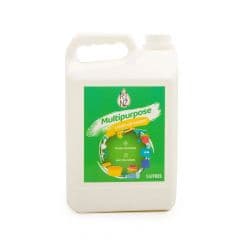 RINZ MULTIPURPOSE REGULAR 5L - Bulkbox Wholesale