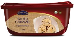 DAIRYLAND PREMIUM SALTED CARAMEL ICE CREAM 4L - Bulkbox Wholesale