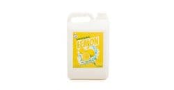 RINZ LEMON DISHWASH 5L - Bulkbox Wholesale