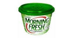 MORNING FRESH DISHWASHING PASTE ORIGINAL 800G - Bulkbox Wholesale