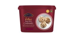 DAIRYLAND PREMIUM SALTED CARAMEL ICE CREAM 4L - Bulkbox Wholesale