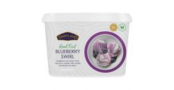 DAIRYLAND BLUEBERRY SWIRL ICE CREAM 4L - Bulkbox Wholesale