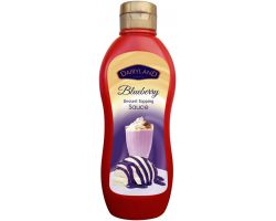 DAIRYLAND BLUEBERRY TOPPING SAUCE 650G - Bulkbox Wholesale