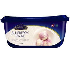 Dairyland Blueberry Swirl Ice Cream 1x1L - Bulkbox Wholesale