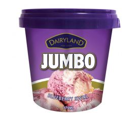Dairyland Jumbo Blueberry Swirl Ice Cream 12x175ml - Bulkbox Wholesale