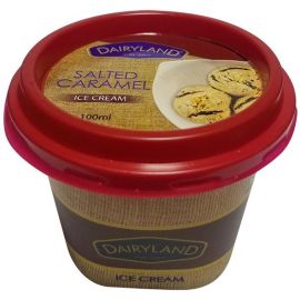 Dairyland Salted Caramel Ice Cream 12x100ml - Bulkbox Wholesale