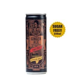 Toni Glass Sugar-Free Mixer Ginger Ale 12x250ml - Bulkbox Wholesale