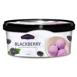 Dairyland Blackberry Delight Ice Cream 1x1L - Bulkbox Wholesale