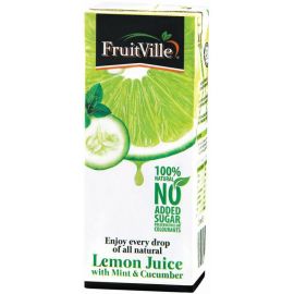 Fruitville Lemon Mint, Cucumber Tetra Juice - Bulkbox Wholesale