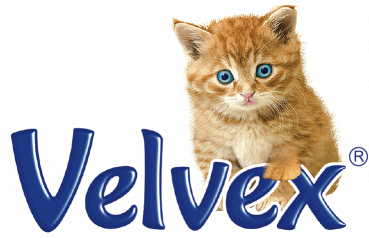 Velvex - Bulkbox Wholesale