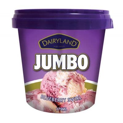 DAIRYLAND JUMBO BLUEBERRY SWIRL ICE CREAM 175ML - Bulkbox Wholesale