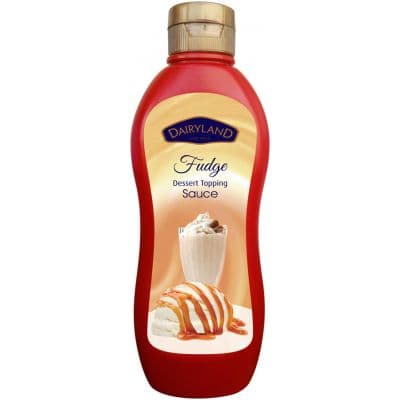 DAIRYLAND FUDGE TOPPING SAUCE 5X650G - Bulkbox Wholesale