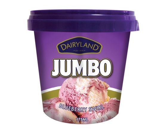 Dairyland Jumbo Blueberry Swirl Ice Cream 12x175ml - Bulkbox Wholesale