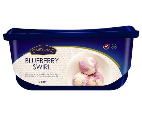 Dairyland Blueberry Swirl Ice Cream 1x4L - Bulkbox Wholesale