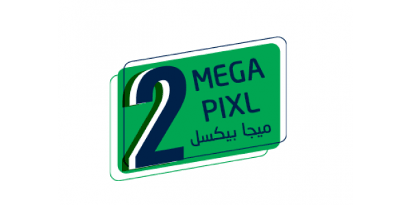 IP 2 Mega Pixel 