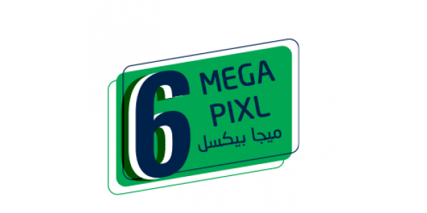 IP 6 Mega Pixel