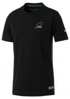 Мужская футболка (черный), XL