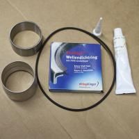 Ремкомплект уплотнений вала (сальник) EVO 9 16293