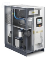 Винтовой компрессор Atlas Copco GA11 VSD+13FF в Самаре | DILEKS.RU