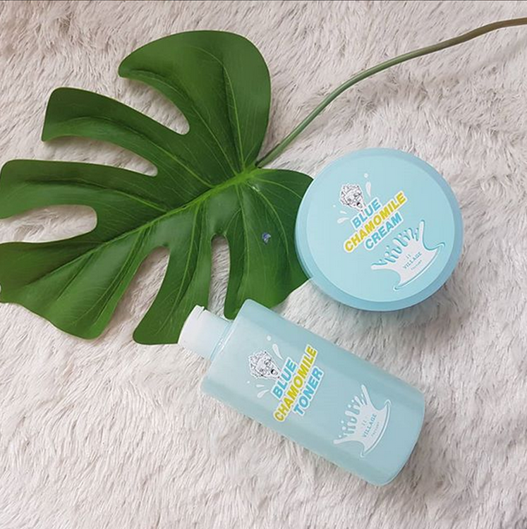 village 11 factory blue chamomile