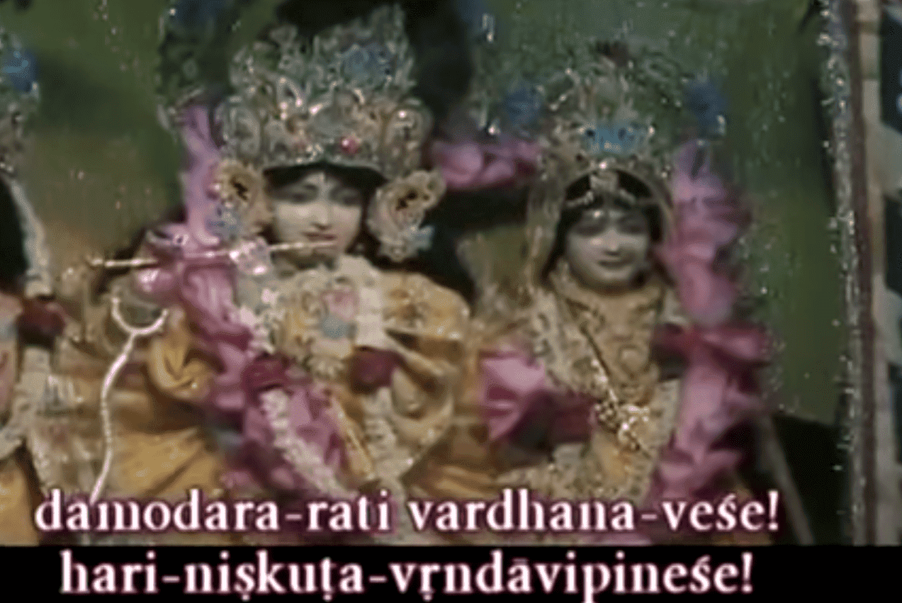 Нараяна Махарадж Индия2006