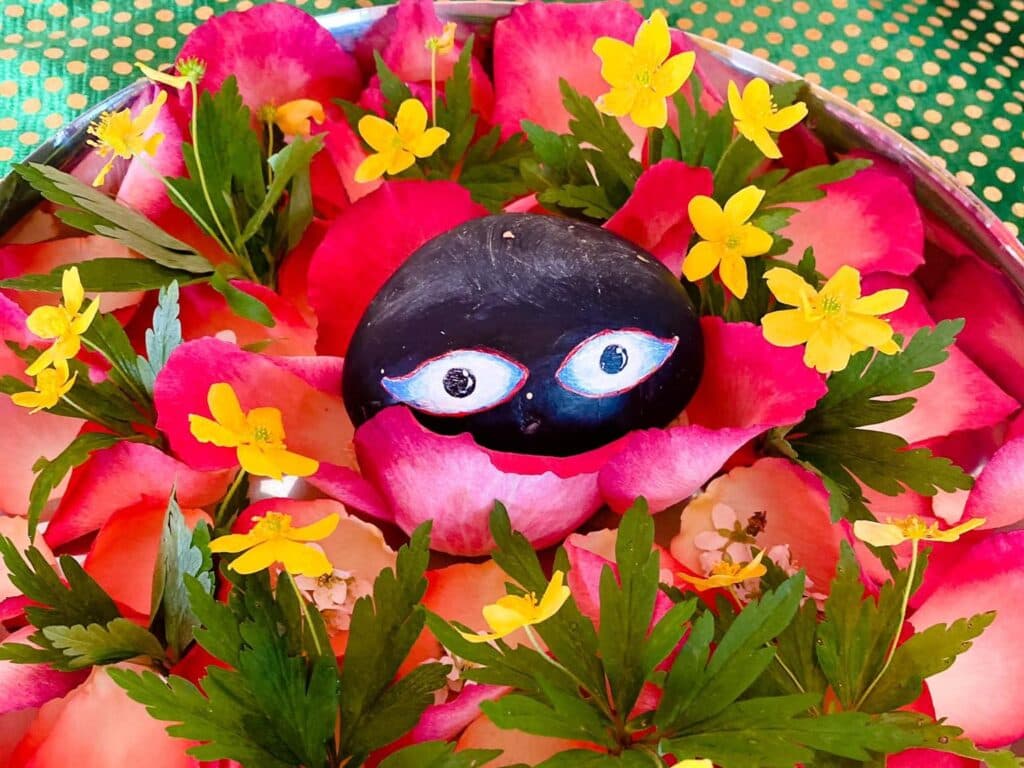 Шилаграм Абхишека