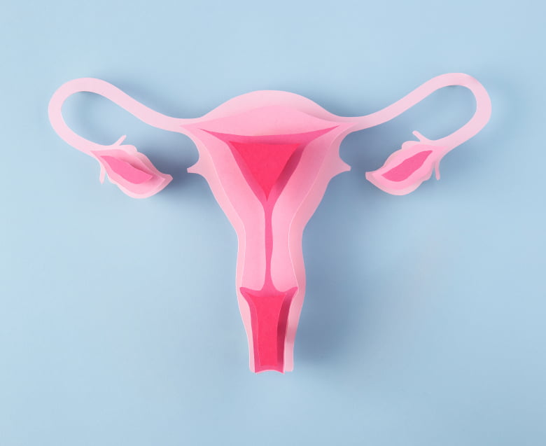 Пайпель биопсия эндометрия